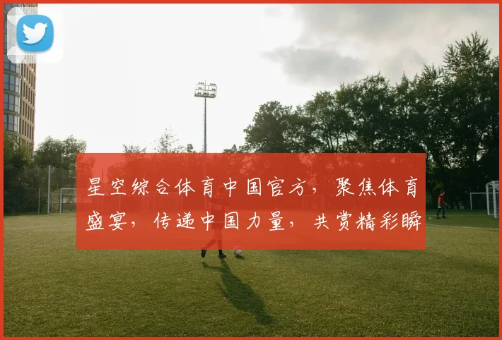 星空综合体育中国官方，聚焦体育盛宴，传递中国力量，共赏精彩瞬间，三足鼎立，竞技荣耀