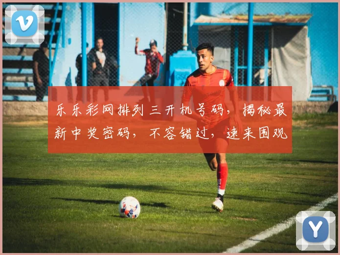 乐乐彩网排列三开机号码，揭秘最新中奖密码，不容错过，速来围观