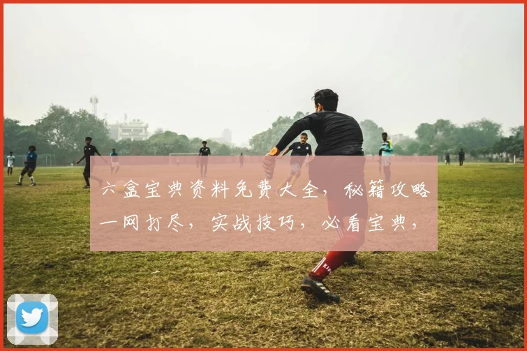 六盒宝典资料免费大全，秘籍攻略一网打尽，实战技巧，必看宝典，三步掌握