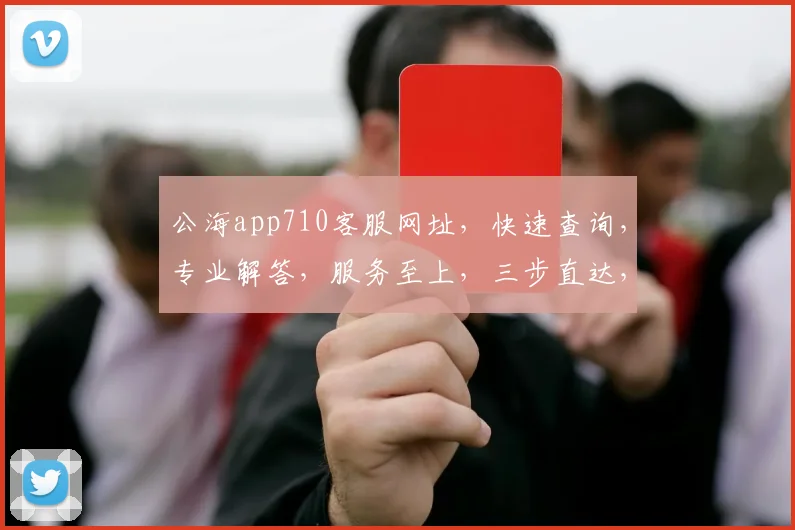 公海app710客服网址，快速查询，专业解答，服务至上，三步直达，轻松获取
