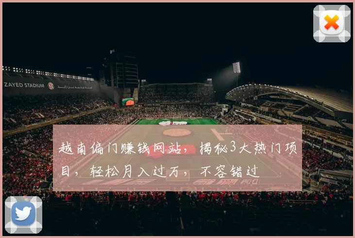 越南偏门赚钱网站，揭秘3大热门项目，轻松月入过万，不容错过