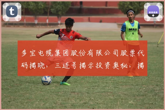 多宝电缆集团股份有限公司股票代码揭晓，三连号揭示投资奥秘，揭秘电缆行业领军企业